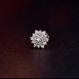 20-Stone Moissanite Ear Stud – Pair